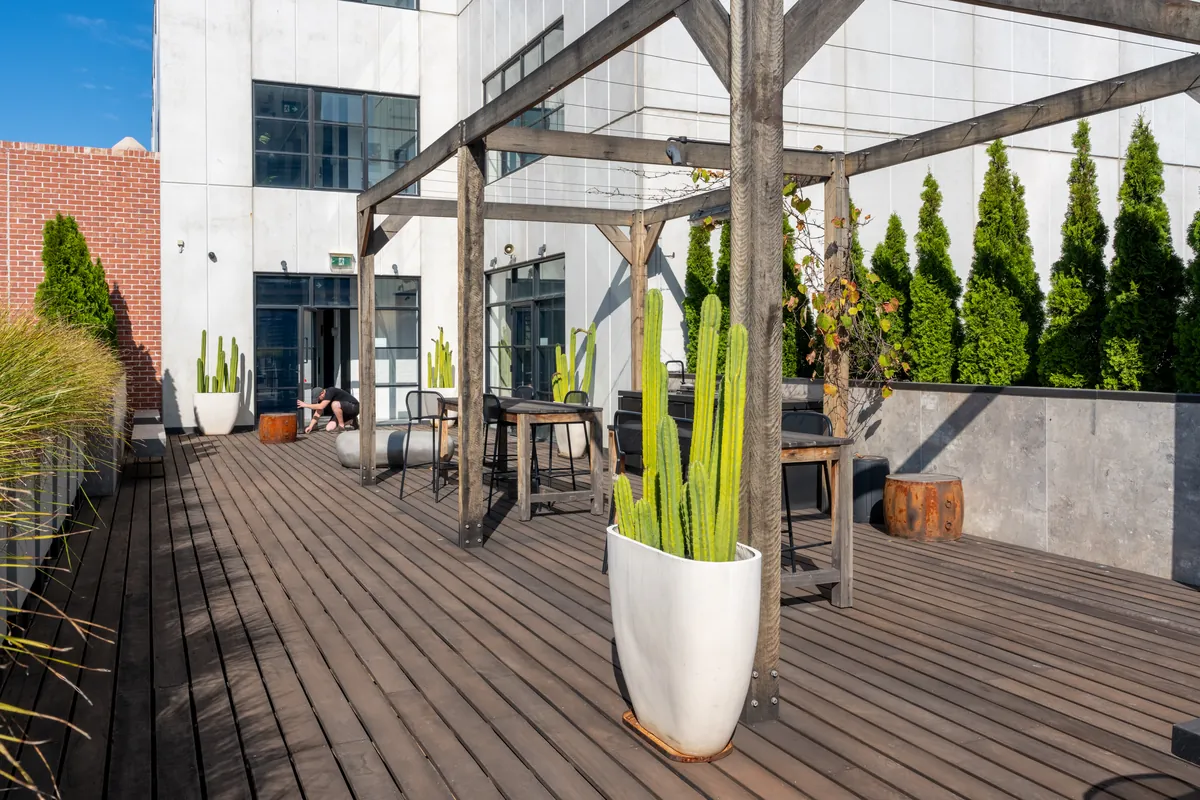 Decked rooftop terrace with planting and pergola seating, Clinibase office fitout, Collingwood.