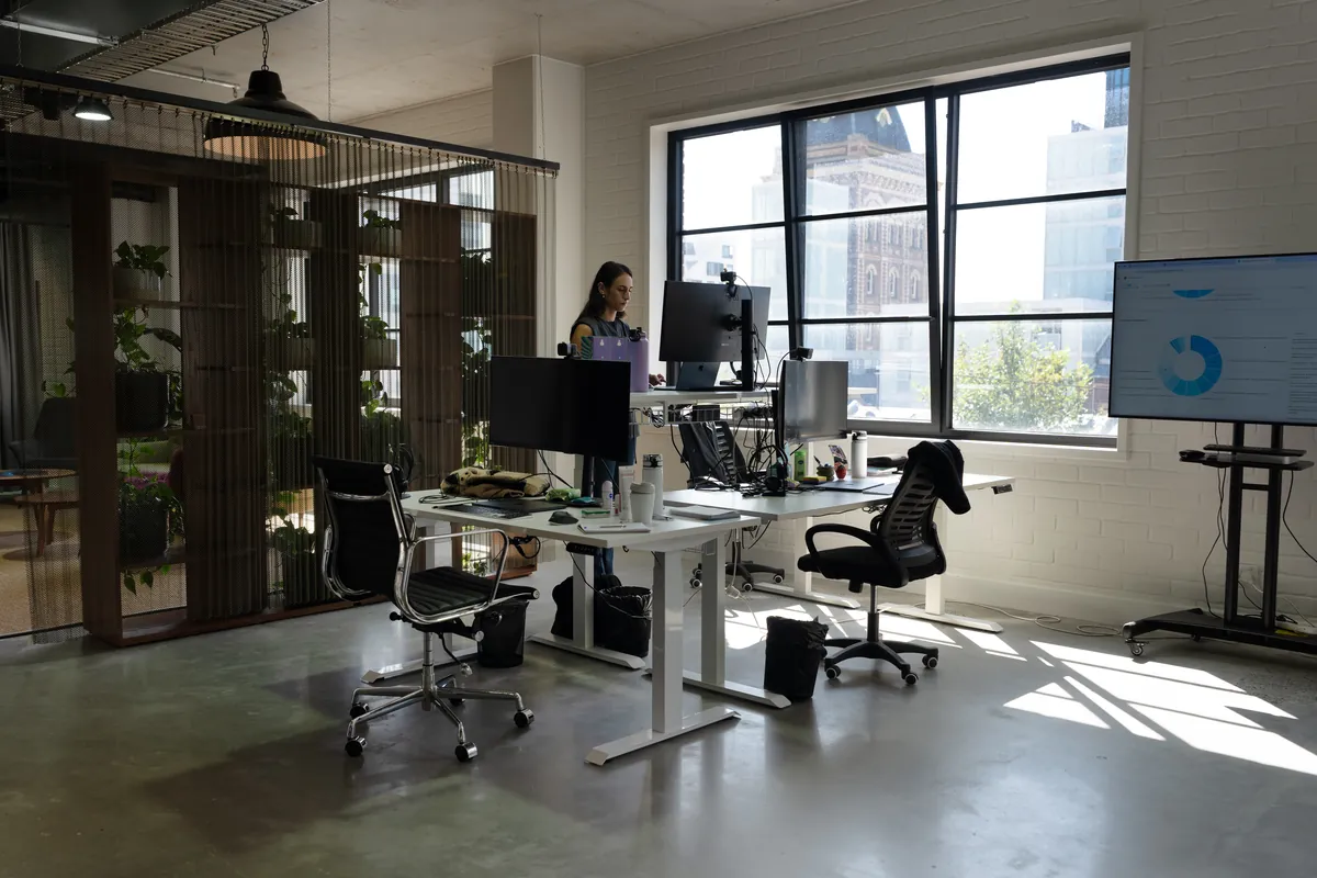 Open-plan desks beside an acoustic timber screen and feature windows, Clinibase office fitout, Collingwood.