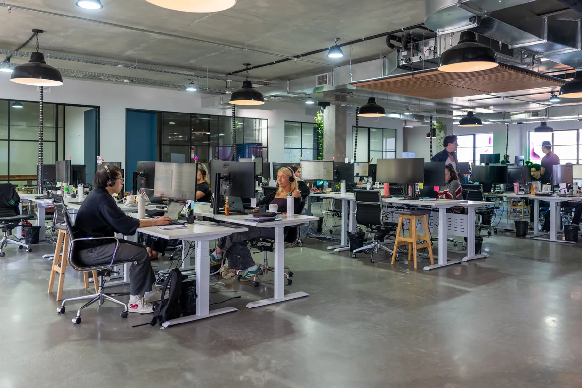 Open-plan workspace with sit-stand desks under exposed services, Clinibase office fitout, Collingwood.