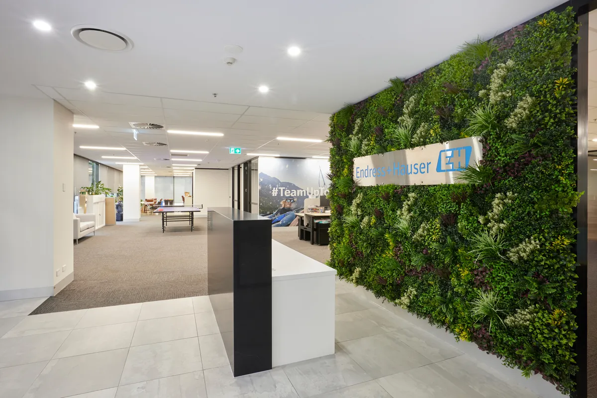 Reception with branded green living wall at the Endress and Hauser office fitout, Mulgrave.