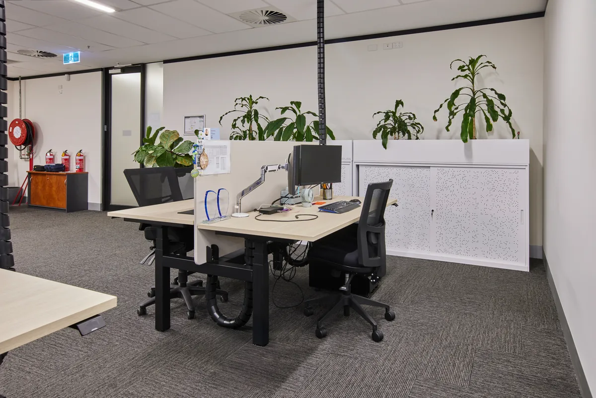 Sit-stand workstations with monitors and planters at the Endress and Hauser office fitout, Mulgrave.