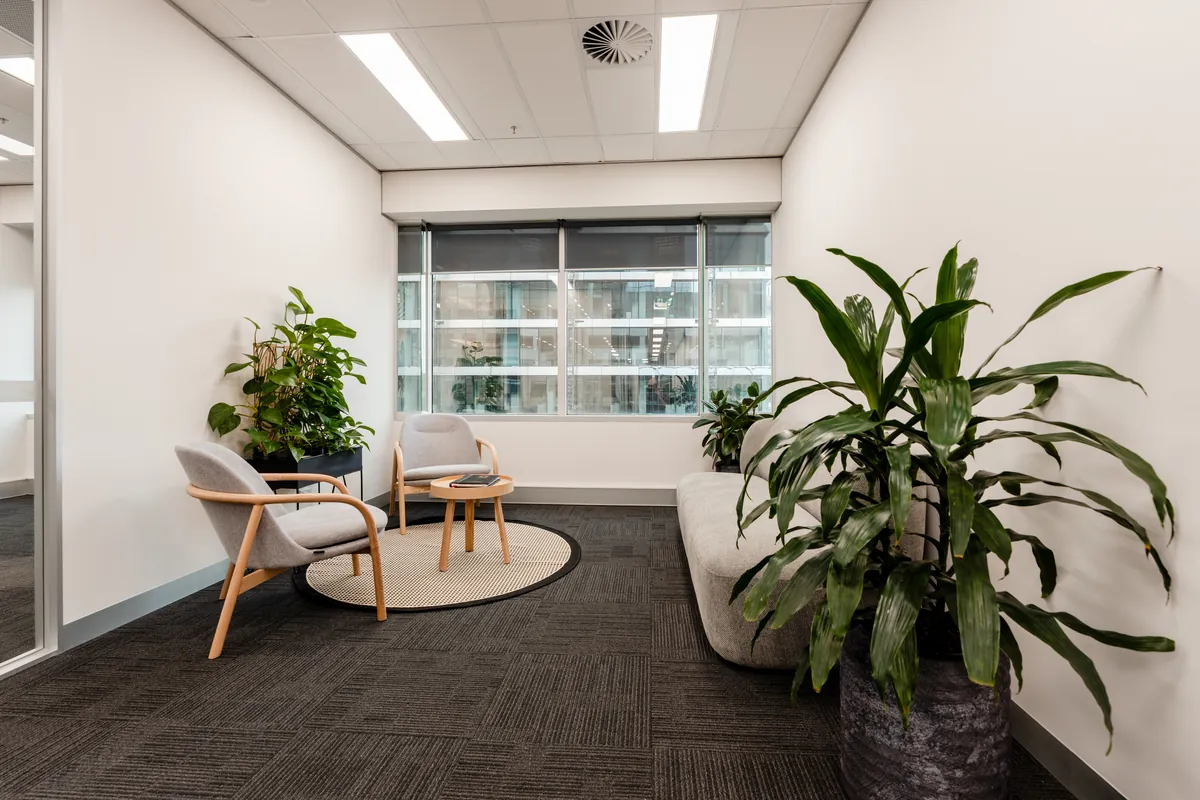 Quiet breakout lounge with armchairs and indoor plants by the window at the McLarens office fitout, Melbourne.