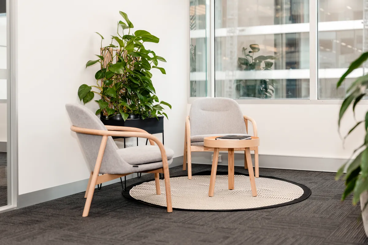 Collaboration nook with timber armchairs, side table and planter by the windows at the McLarens office fitout, Melbourne.