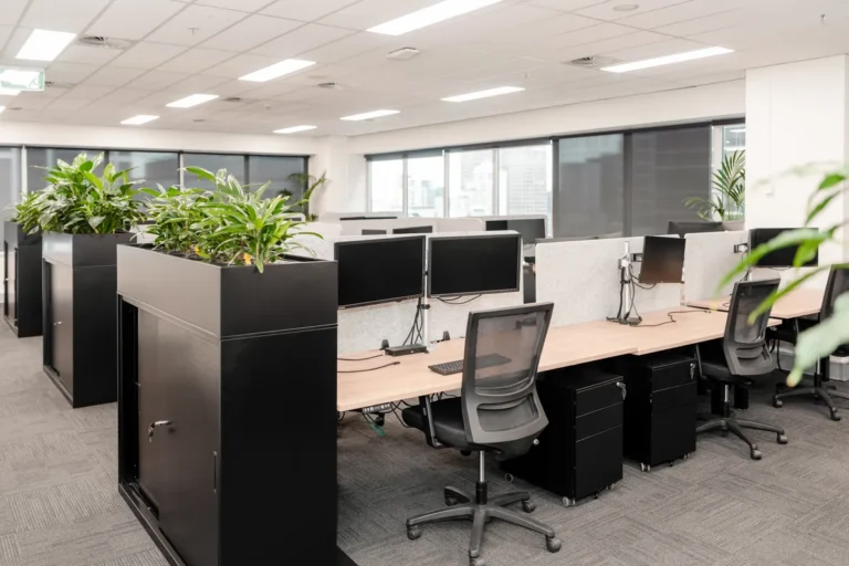 Open-plan workstations with planter dividers and dual monitors at the McLarens office fitout, Melbourne.
